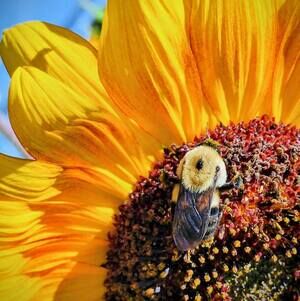 Meet your Posher, Bobbie lea